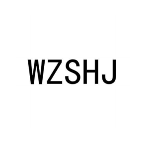 温州盛和嘉汽车零部件有限公司-logo